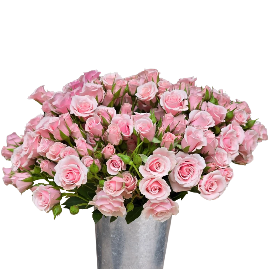 spray rose pink majolica.webp