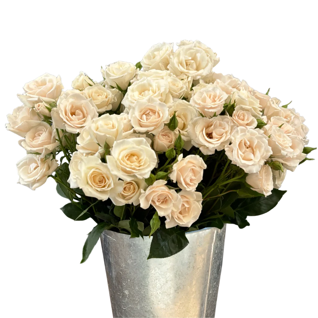 spray rose white majolica.webp